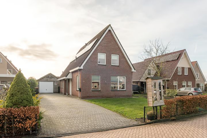 De Bodding 11, Frieschepalen