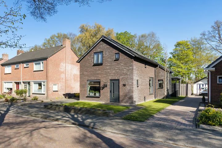 De Rusken 38, Frieschepalen