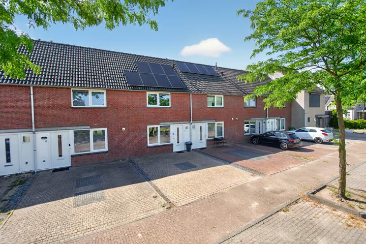 Dooleg 65, Reusel