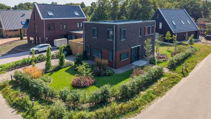 Kardinaalsmuts 8, Leek