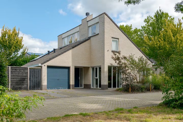 Citroenvlinder 9, Meppel