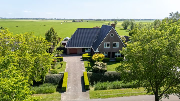 Hegedyk 4, Jellum