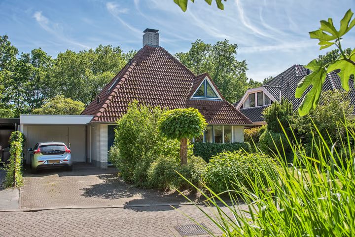 Dalkruid 40, Delden